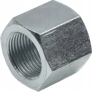 Nakrętka manometru do cylindra prasy hydraulicznej GEKO CG02086-R16 (manometer nut)