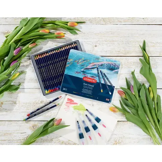 Derwent Inktense coloured pencils 24 pcs Photo 3