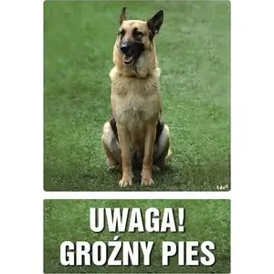 Warning Sign PROCERA Znak TDC — safety sign 'Uwaga groźny pies' (BH-PC300BUPN)