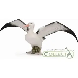 Collecta Albatross figūriņa COLL0452 — reālistiska jūras putna modelis izstādei un izglītībai