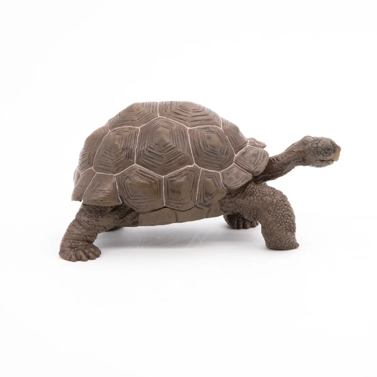 Фигурка Papo Galápagos Tortoise — Russell Hobbs Photo 3