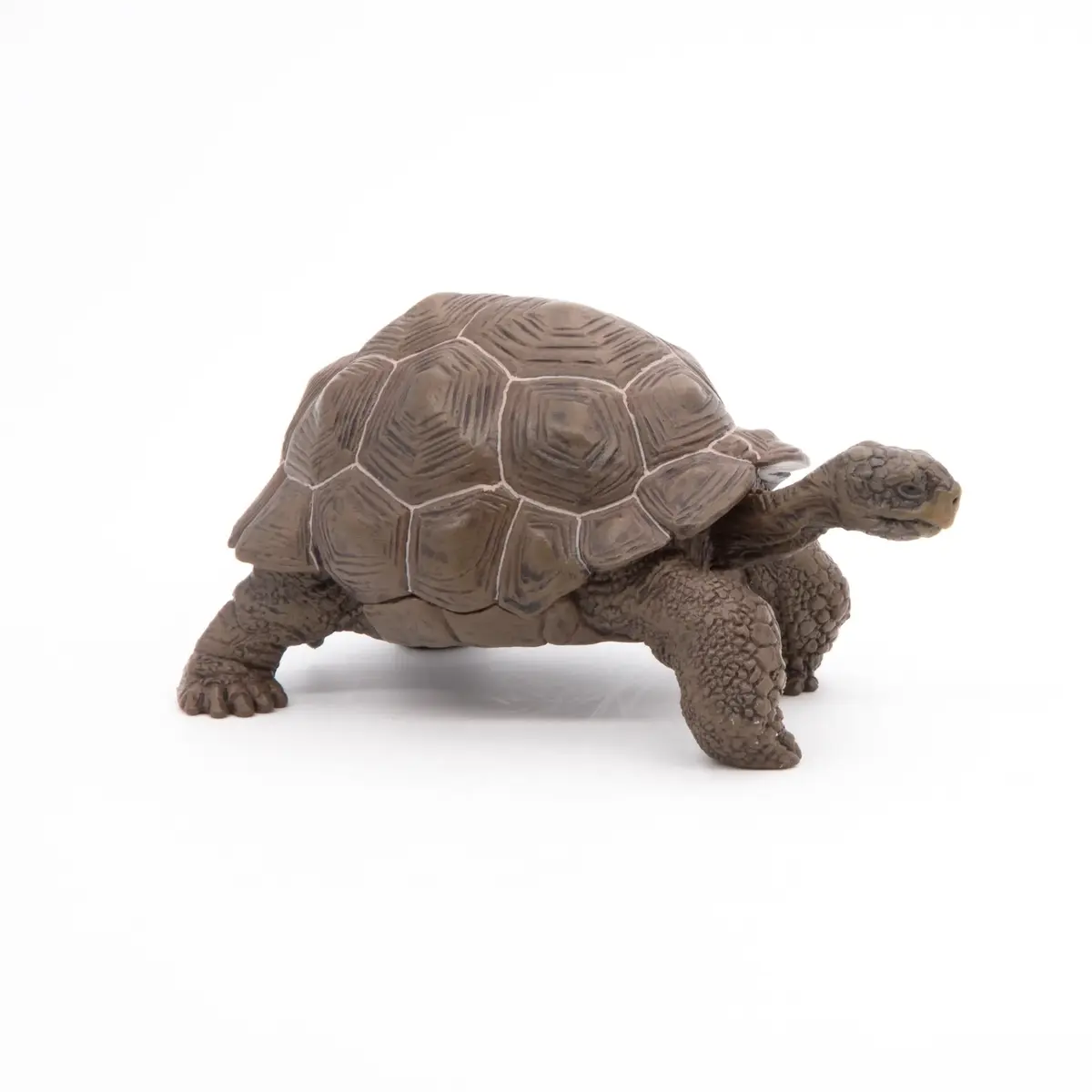 Фигурка Papo Galápagos Tortoise — Russell Hobbs Photo 4