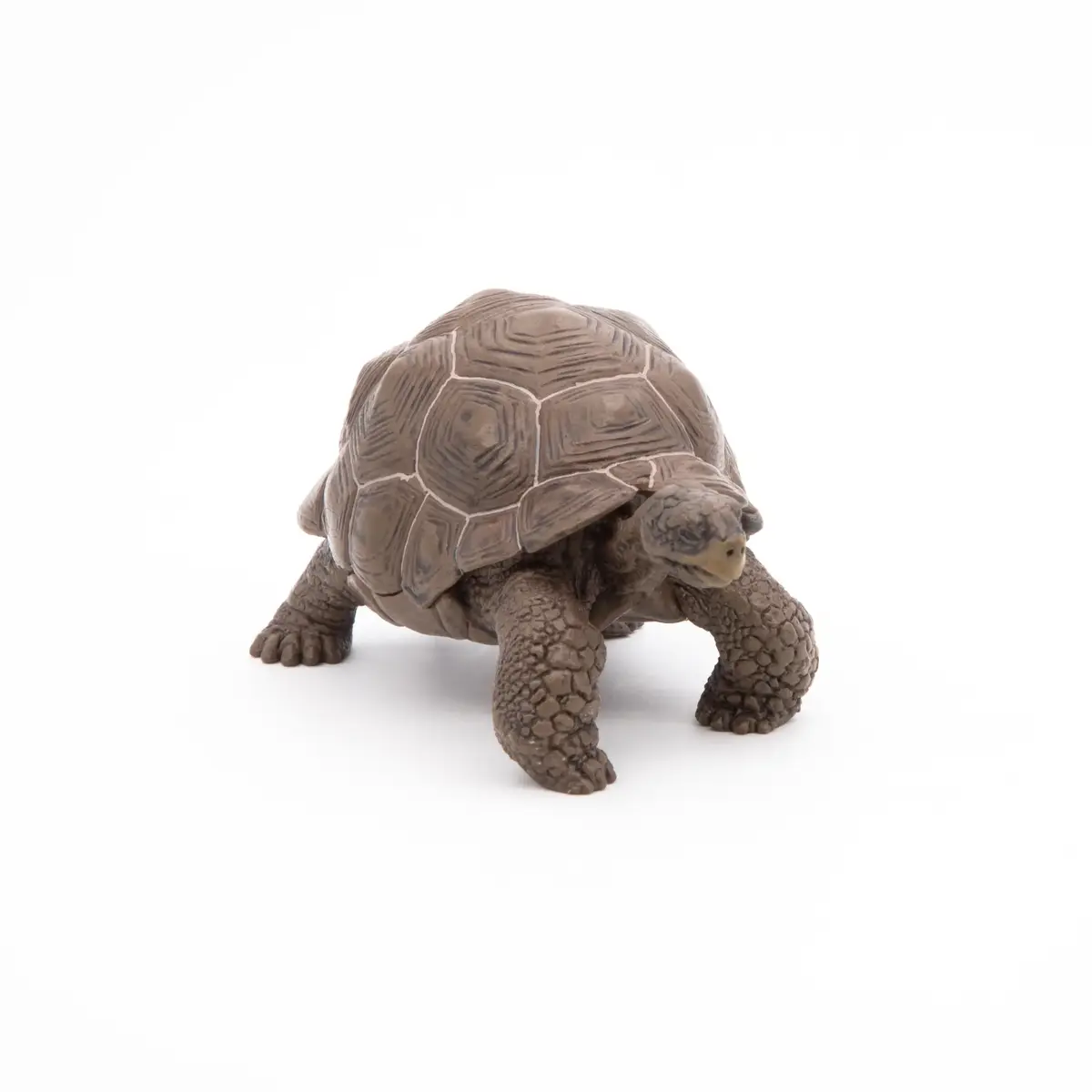 Фигурка Papo Galápagos Tortoise — Russell Hobbs Photo 5