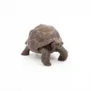 Фигурка Papo Galápagos Tortoise — Russell Hobbs Photo 5