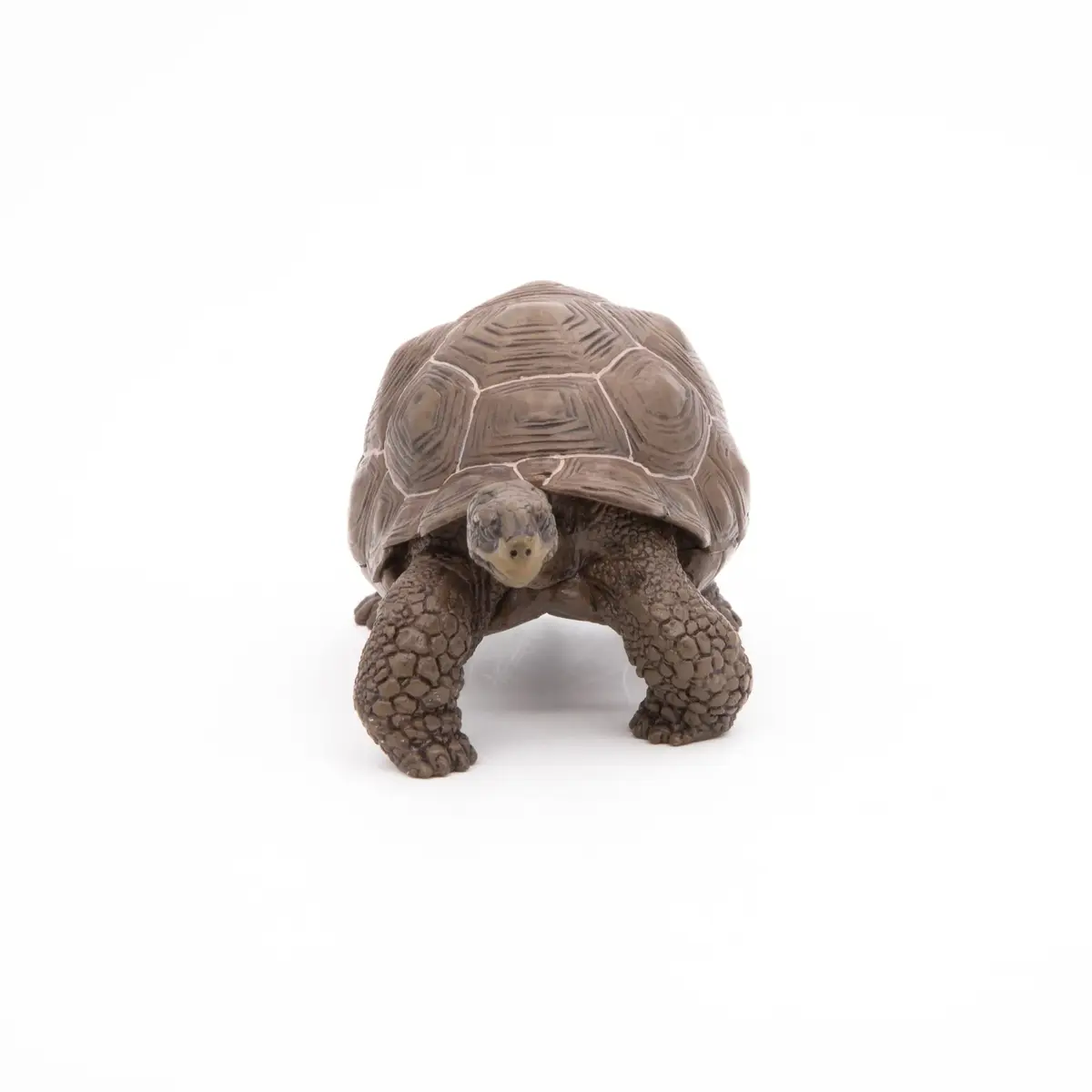Фигурка Papo Galápagos Tortoise — Russell Hobbs Photo 6