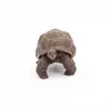 Фигурка Papo Galápagos Tortoise — Russell Hobbs Photo 6