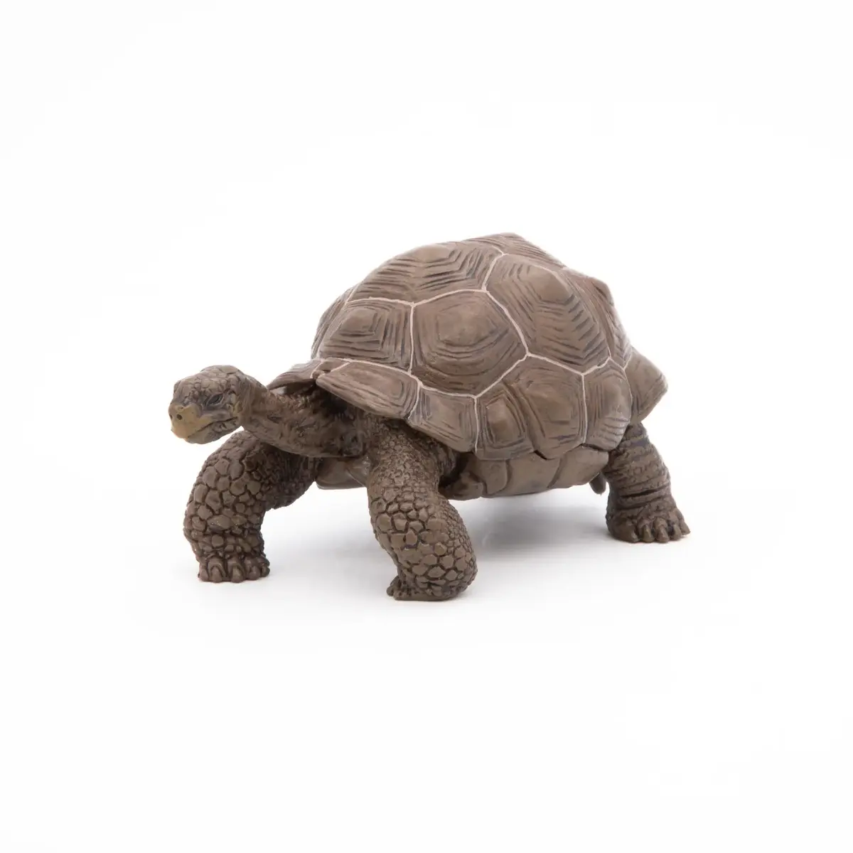 Фигурка Papo Galápagos Tortoise — Russell Hobbs Photo 7
