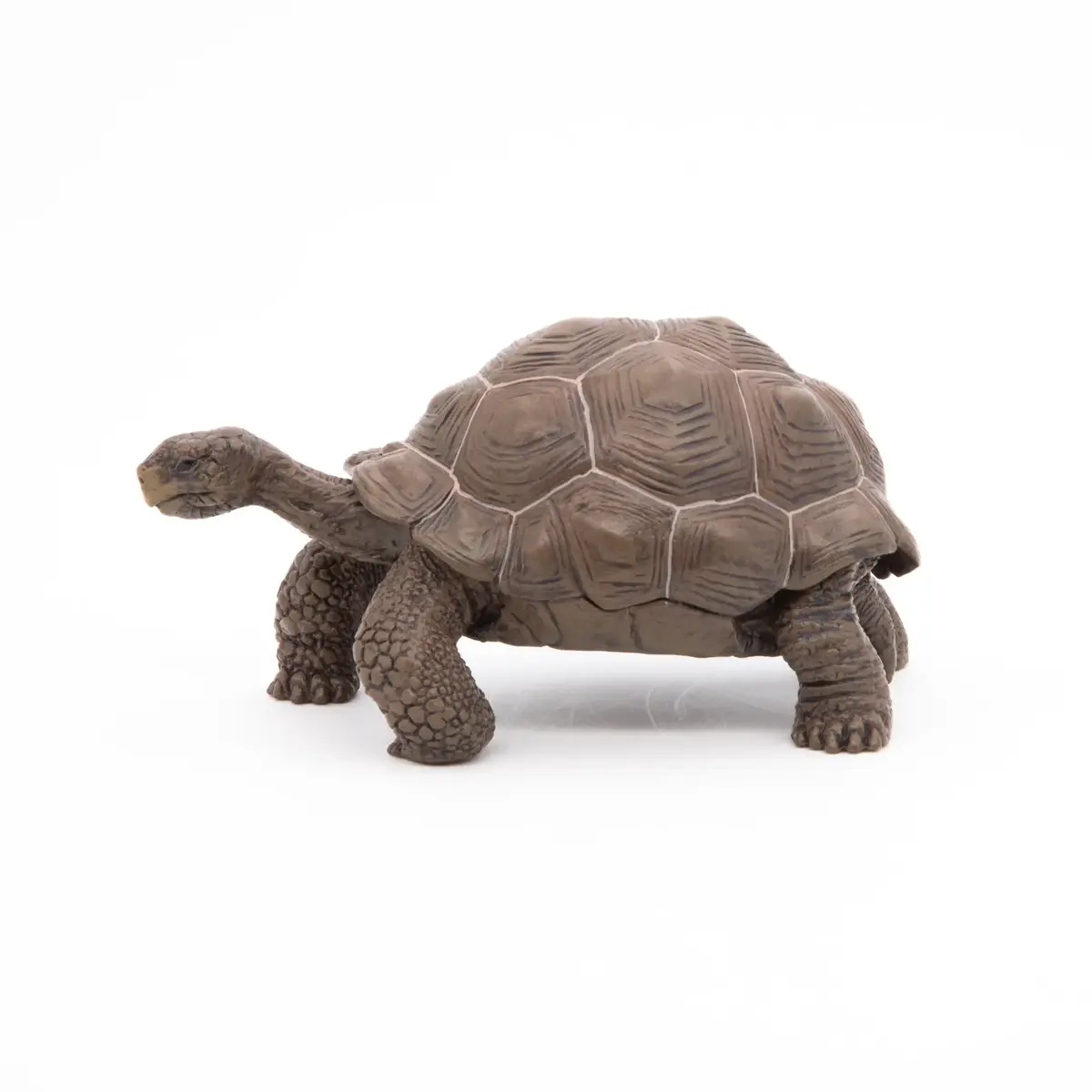 Фигурка Papo Galápagos Tortoise — Russell Hobbs Photo 8