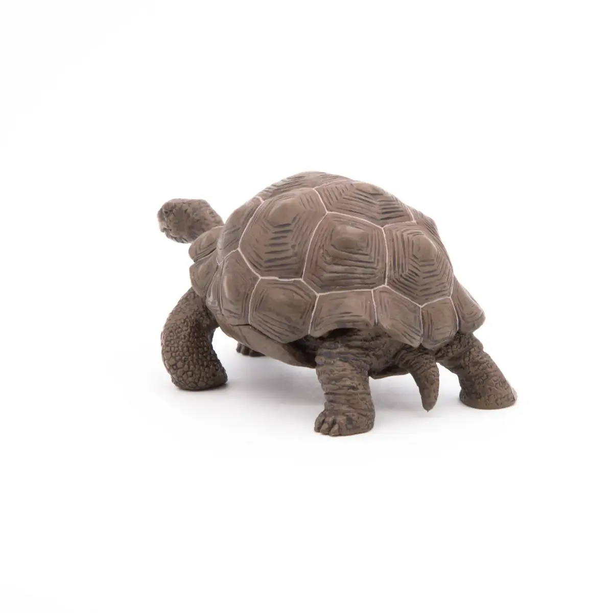 Фигурка Papo Galápagos Tortoise — Russell Hobbs Photo 9