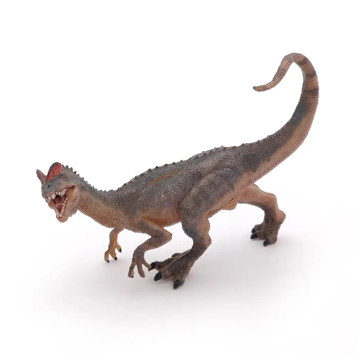 Papo Dilophosaurus PVC figūriņa A78×P27×D95 mm Photo 2