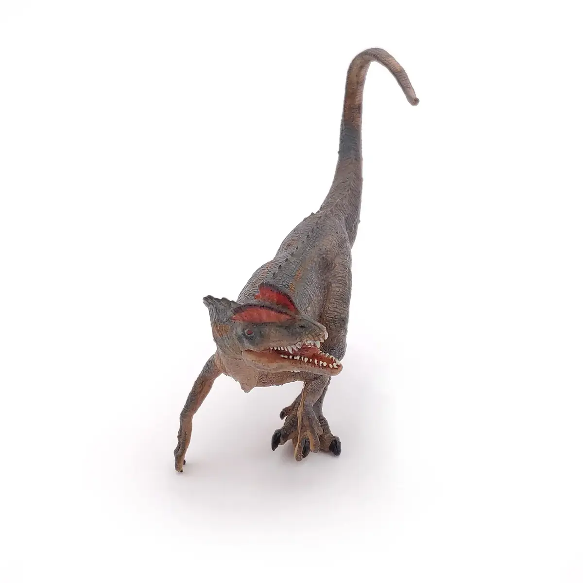 Papo Dilophosaurus PVC figūriņa A78×P27×D95 mm Photo 3