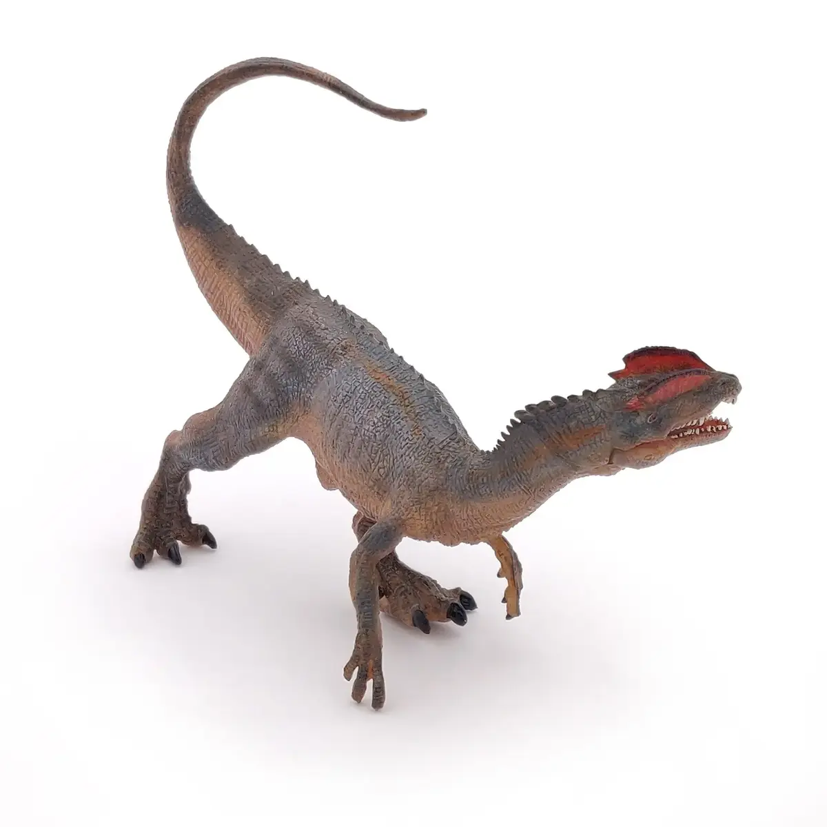 Papo Dilophosaurus PVC figūriņa A78×P27×D95 mm Photo 4