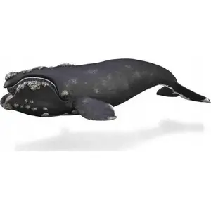 Collecta figure WALRUS model 004-88740 by Collecta – realistic animal figurine, collectible scale