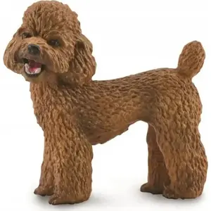 Collecta figurine PUDEL model 88880 by Collecta, realistic dog collectible, plastic scale figure