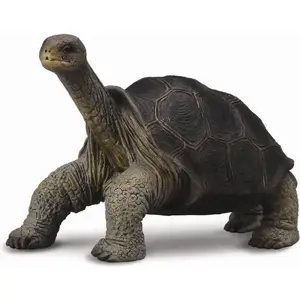 Collecta figurine Turtle from Pinta Island model 004-88619, realistic plastic animal toy