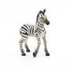 Papo Zebra Foal PVC figure 401246 Photo 3