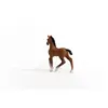 Schleich Oldenburger жеребёнок — HORSE CLUB Photo 3
