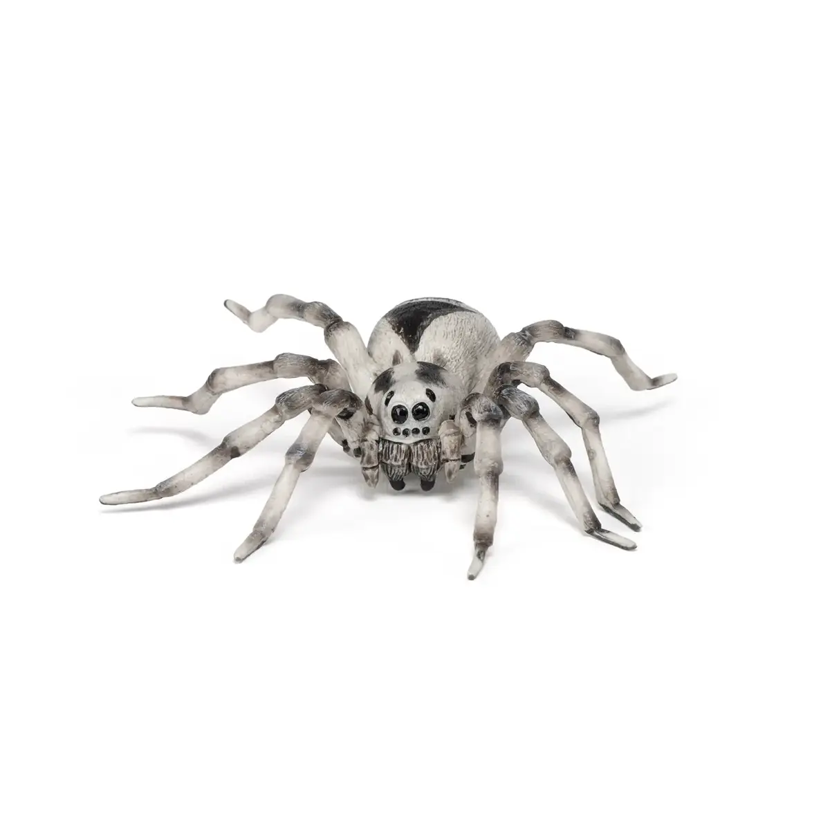 Papo Tarantula PVC figūriņa 401147 Photo 4