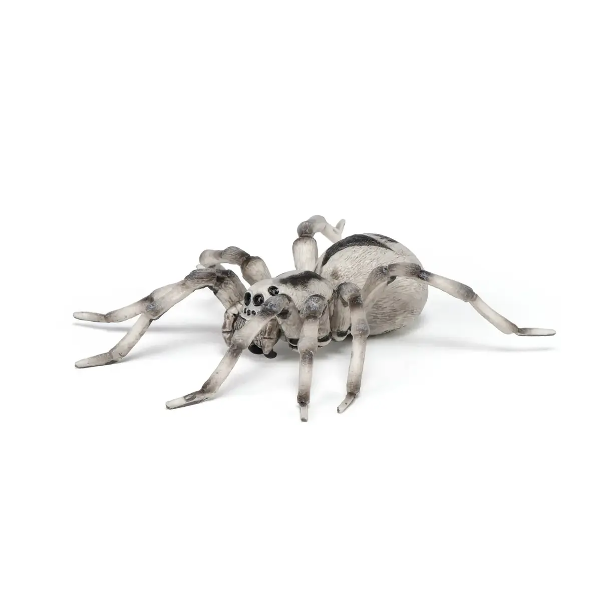 Papo Tarantula PVC figūriņa 401147 Photo 5