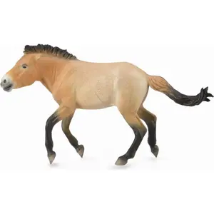 Collecta figurine Przewalski's Horse Ogier model 88602, realistic collectible animal figure