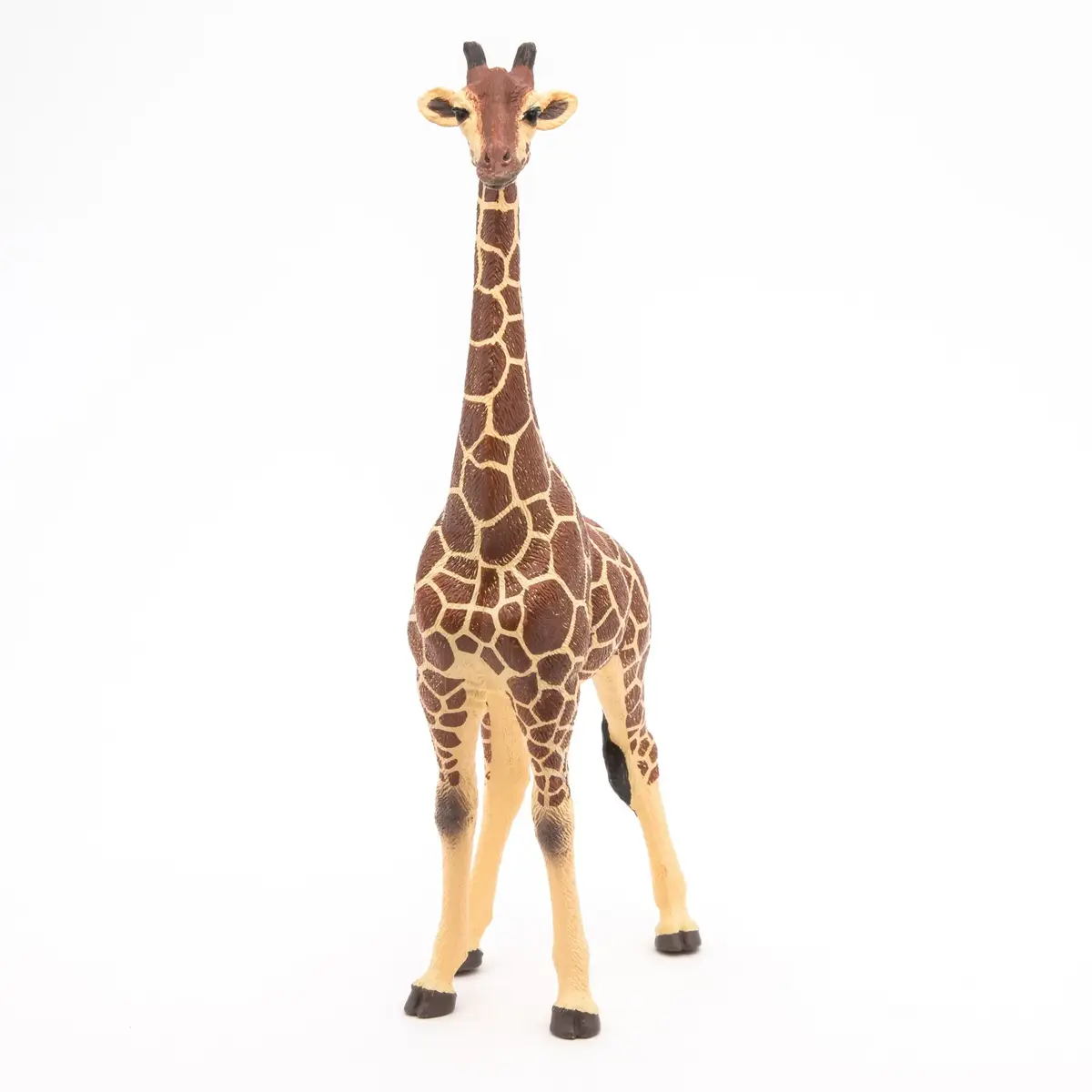 Papo Giraffe Male PVC figūriņa 130 mm Photo 4