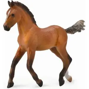 Collecta horse figurine Hanoverian foal model 88734, realistic plastic collectible