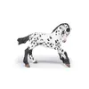 Russell Hobbs Papo Black Appaloosa Foal фигурка Photo 2