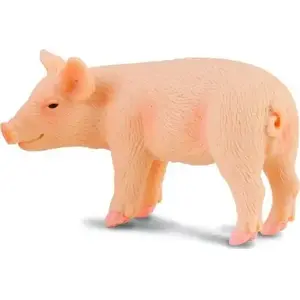 Figurine Collecta Prosie stojące by Collecta, model 449023 – collectible standing animal figure