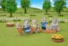 Фигурка Epoch Sylvanian Families 5637 Photo 9