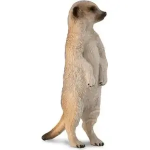 Collecta figurine Surikatka Szara (meerkat) collectible animal model by Collecta