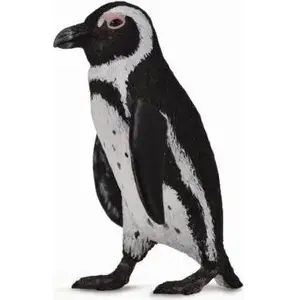Collecta figurine – African penguin model 004-88710, realistic collectible animal figure