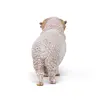 Papo Merino Sheep PVC figūriņa Photo 6
