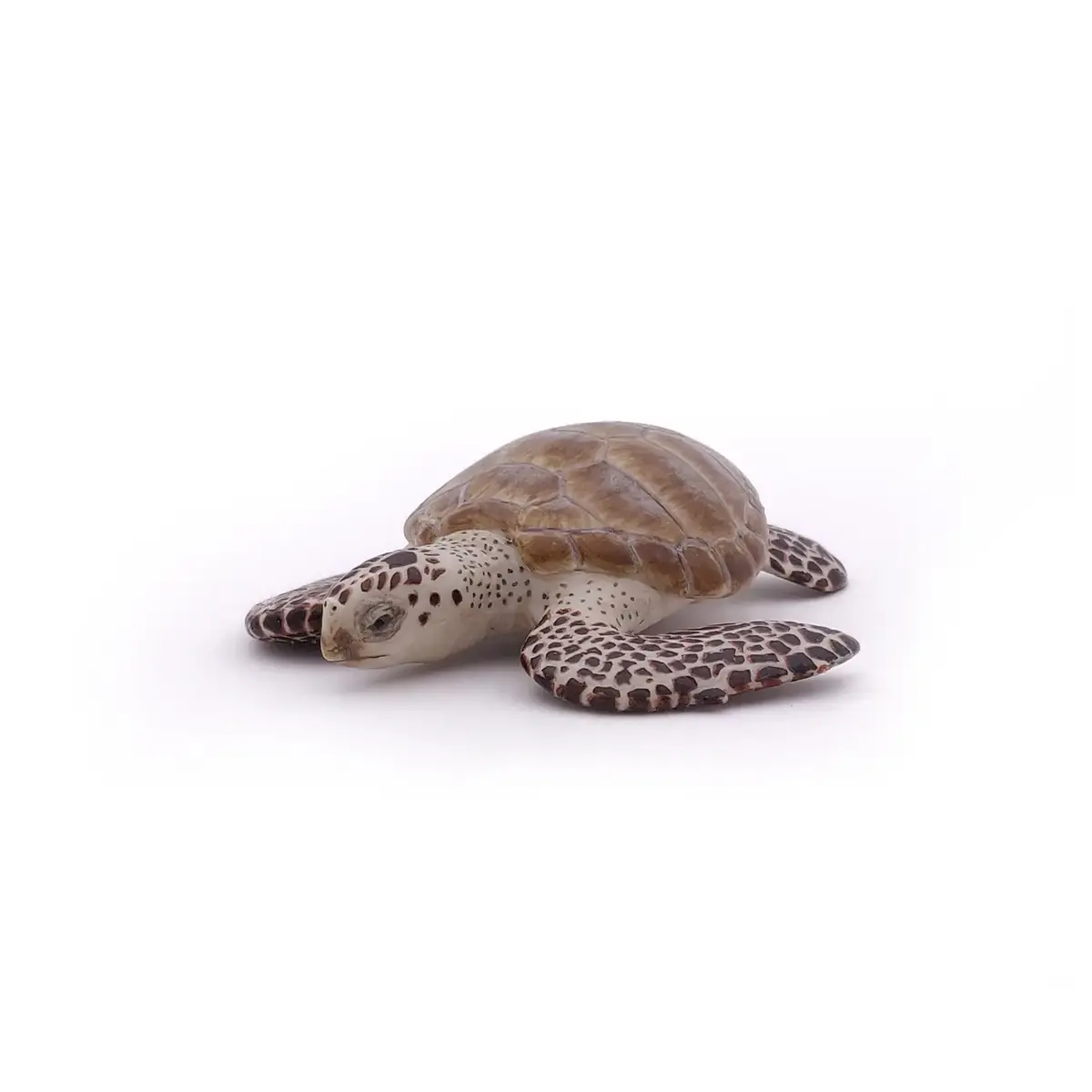 Papo Loggerhead Turtle PVC figūriņa 427515 Photo 2