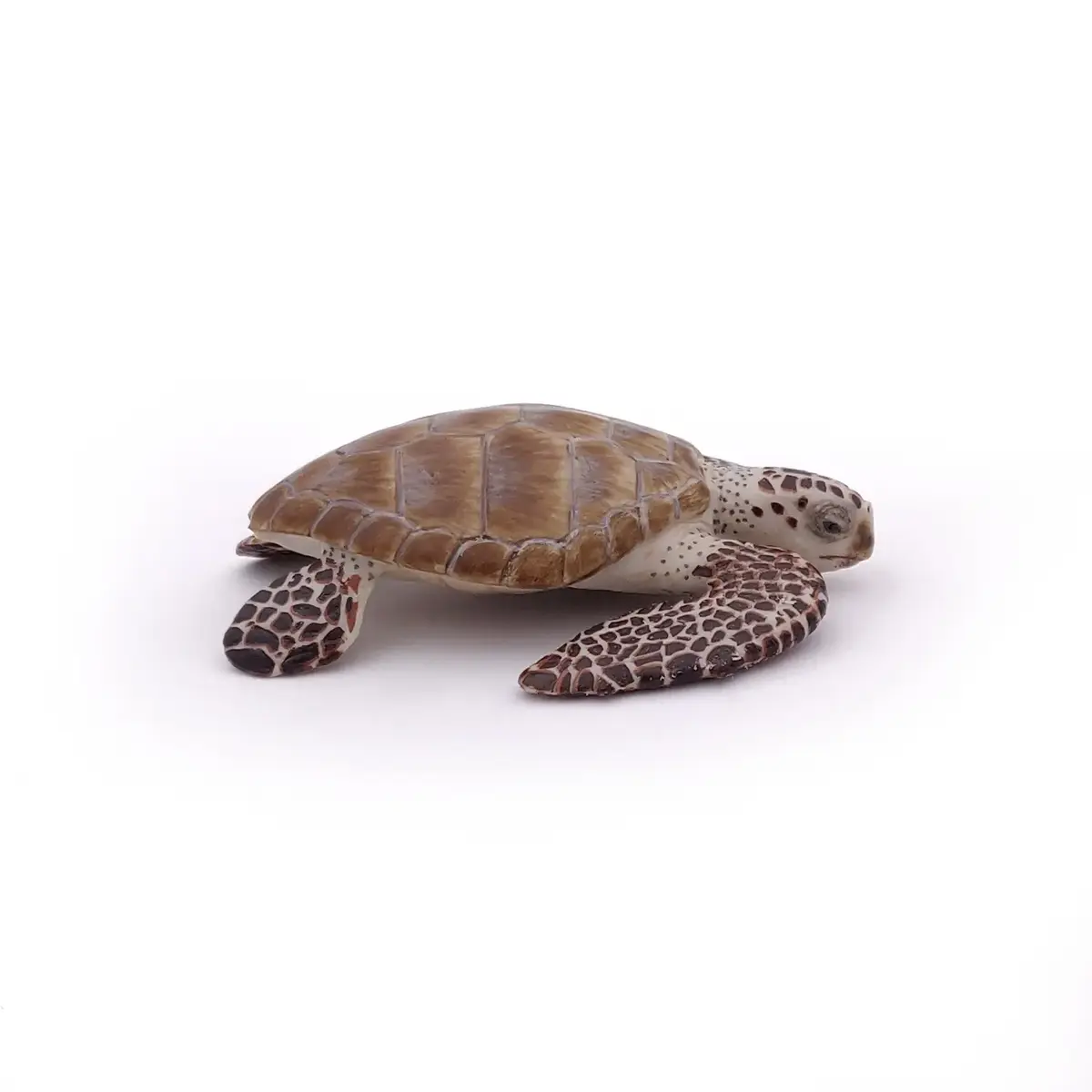 Papo Loggerhead Turtle PVC figūriņa 427515 Photo 5