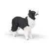 Kolekcijas figūra Papo Border Collie Photo 5