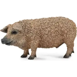 Collecta figurine Mangalica pig model 004-88674, realistic animal toy, collectible scale figure