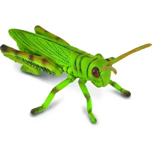 Toy figurine Collecta Konik polny model 004-88352 – realistic insect figure, plastic collectible