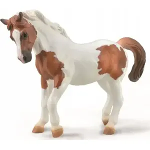Collecta figūra Chincoteague Pony kastaņbrūna pinto — modelis 004-88929