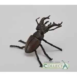 Collecta figurine — Jelonek rogacz model 004-88703, realistic insect/animal replica