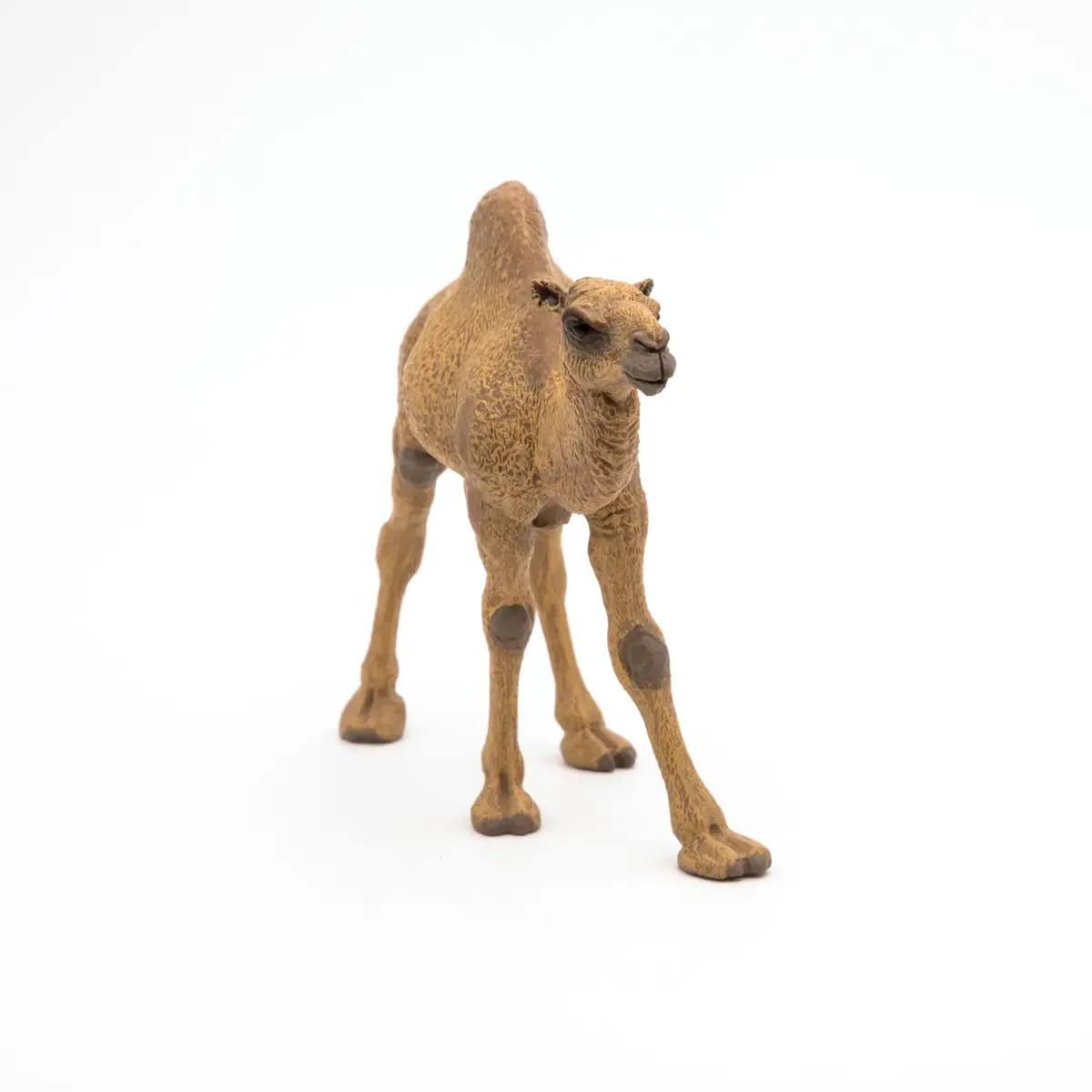 Papo Dromedary PVC collectible figurine 401232 Photo 4