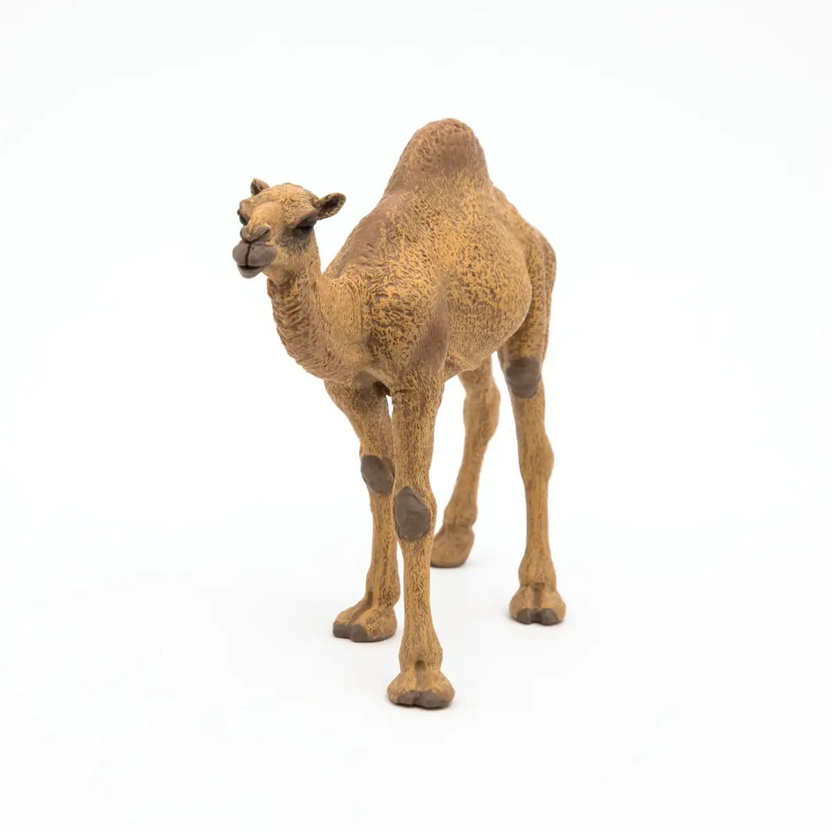 Papo Dromedary PVC collectible figurine 401232 Photo 5