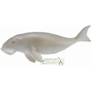 Collecta figūriņa Diugoń Przybrzeżny modelis 004-88766 — reālistisks piekrastes duongs