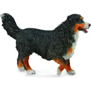 Collecta figurine Bernese Mountain Dog L size model 004-88801