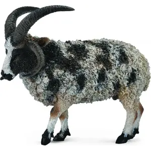 Collecta figurine Sheep with large horns model 004-88728, collectible animal toy