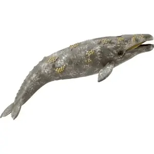 Collecta figure Gray Whale 004-88836 realistic animal model by Collecta
