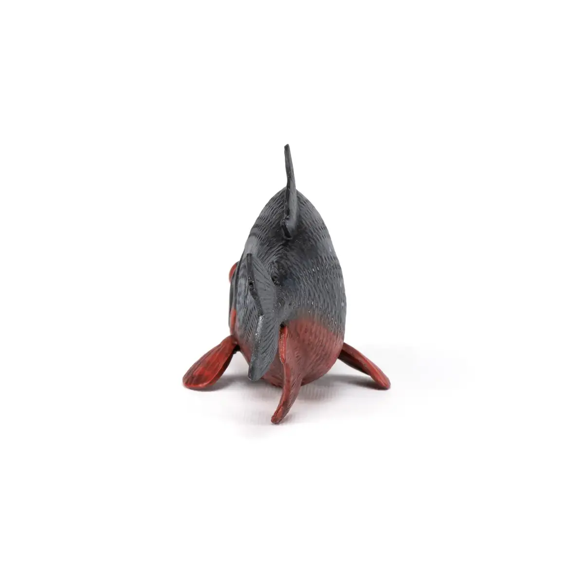 Papo Piranha PVC figūriņa 401035 Photo 4