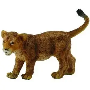 Collecta figurine Lwiątko idące (model 004-88417) — realistic lion cub collectible toy