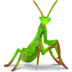 Collecta figure praying mantis model 004-88351, realistic insect figurine, collectible scale toy