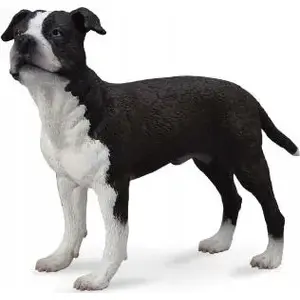 Collecta figurine American Staffordshire Terrier model 004-88610, realistic animal toy