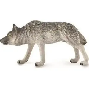 Collecta figurine Wolf 'Timber Hunting' M – realistic animal model, scale collectible